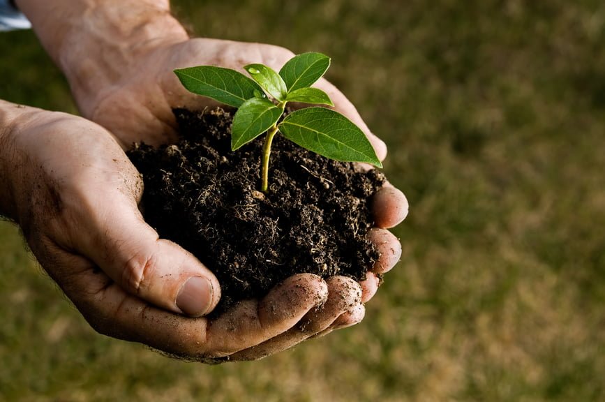 Avoid Soil Borne Diseases
