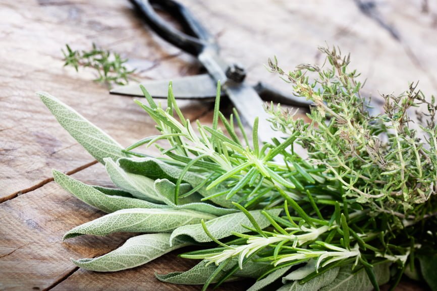 Growing Kitchen Herbs