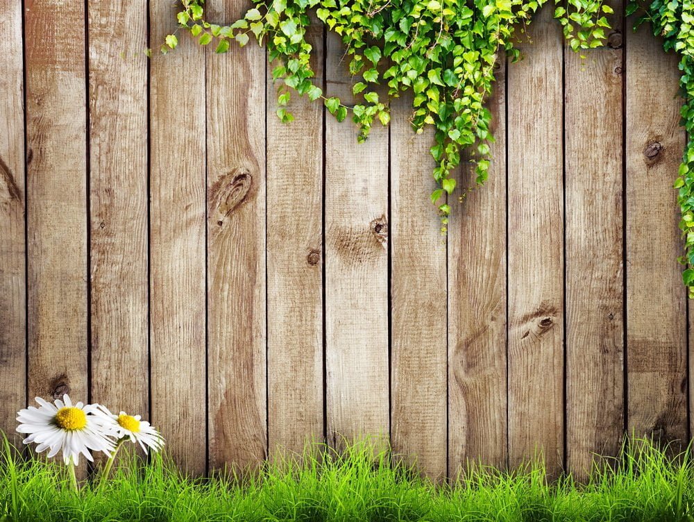 garden privacy wall
