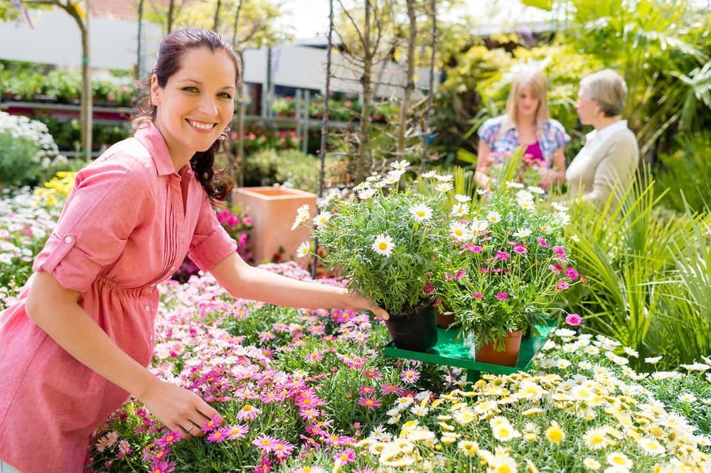 4 Secrets To Shopping At A Plant Nursery Millcreek Gardens