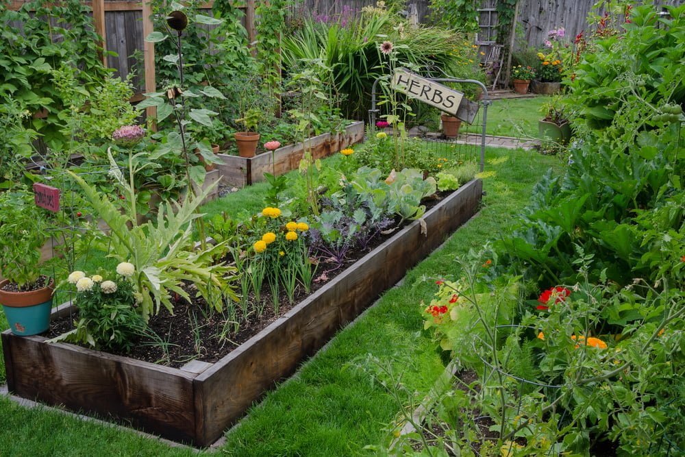 mobile raised bed garden from a shipping pallet