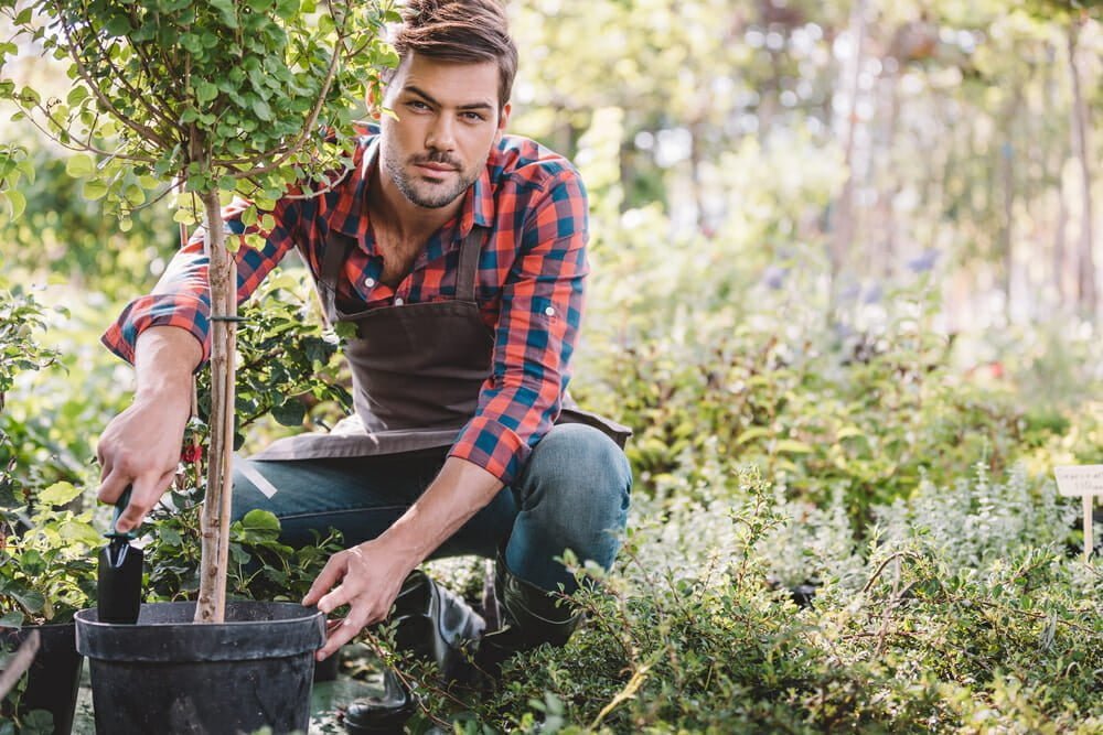 Plant Evergreen Landscaping Trees to Celebrate Arbor Day