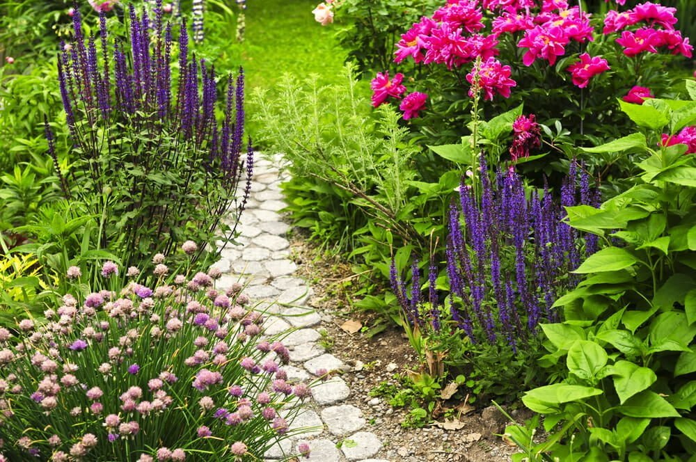 Annual Flowers: 4 Tips to Grow a Gorgeous Garden