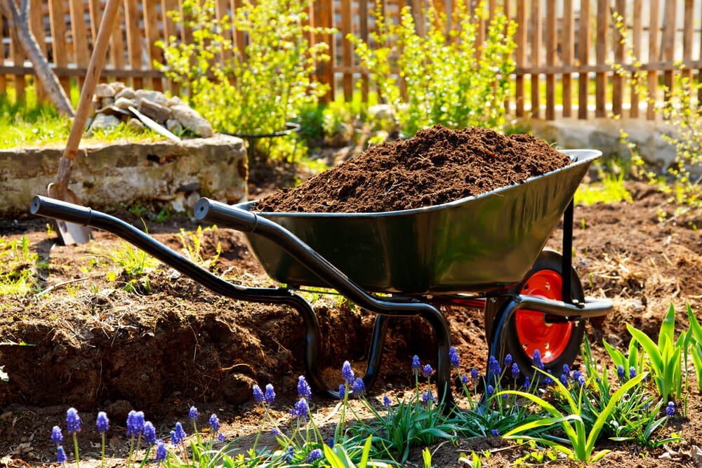 Gardening Supplies 101 How To Choose A Wheelbarrow Millcreek Gardens