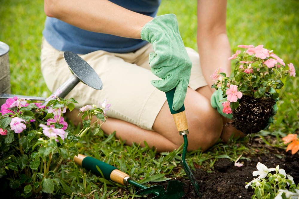 gardening health benefits stress