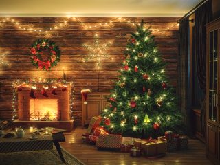 SLC Living Christmas Trees | Millcreek Gardens