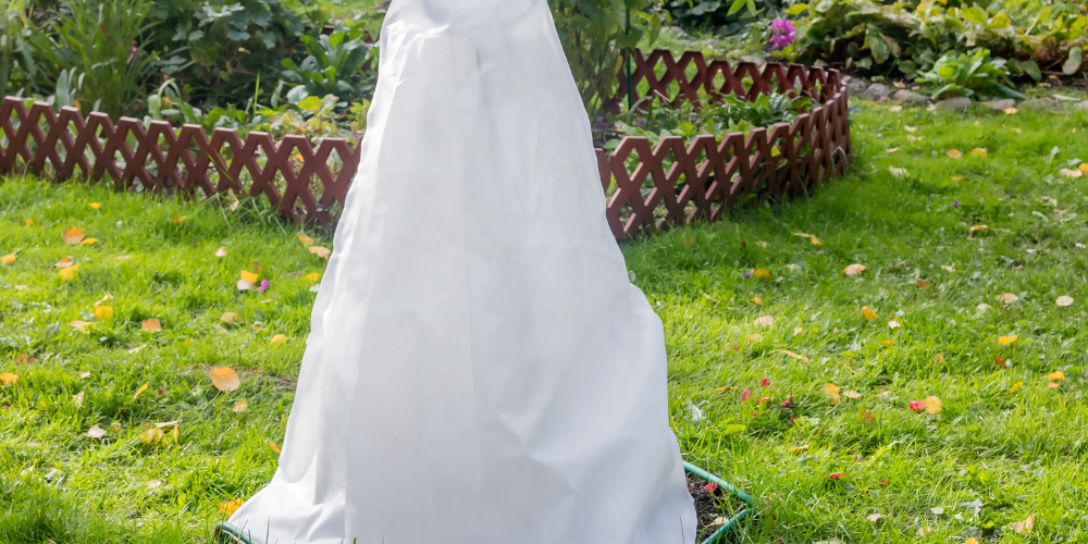 Millcreek Gardens-Salt Lake City-Utah-Fall is for planting-frost cover Millcreek Gardens-Salt Lake City-Utah-Fall is for planting-frost cover