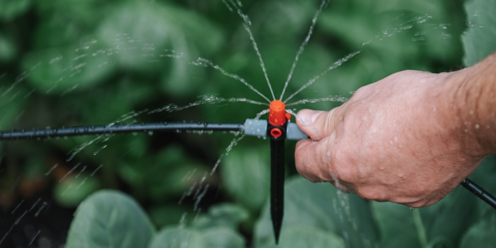 Millcreek Gardens-Salt Lake City-Utah-Xeriscaping in the Garden-drip irrigation
