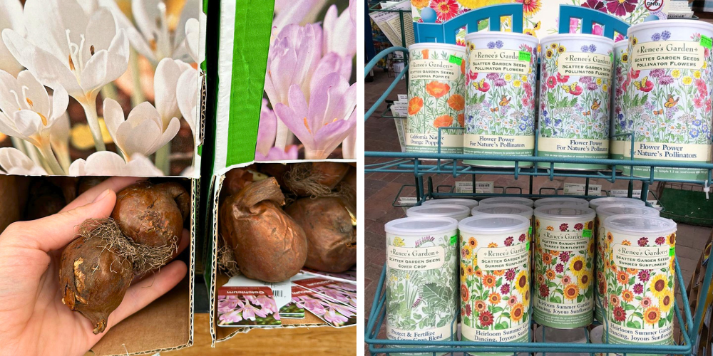 Millcreek Gardens-Salt Lake City-Utah-Holiday Gift Guide-bulbs and seeds