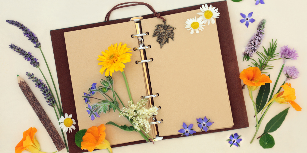 Millcreek Gardens-Salt Lake City Utah-Start Planning Your Garden Now-garden notebook