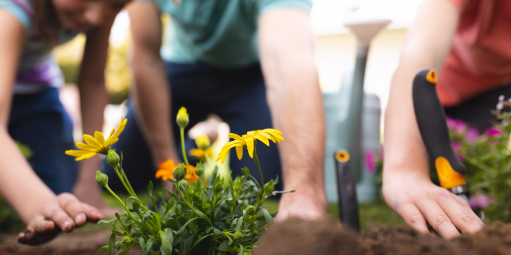 Millcreek Gardens-Salt Lake City Utah-Start Planning Your Garden Now-planting flowers