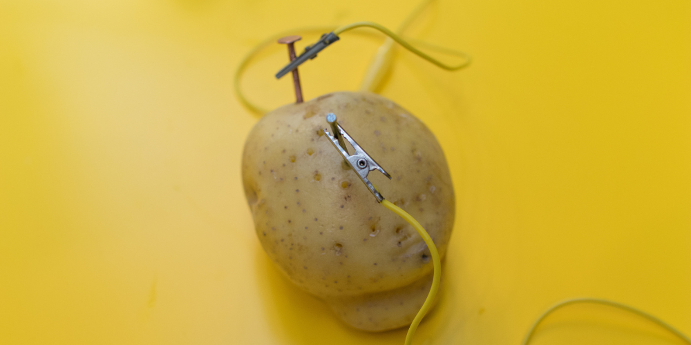 Millcreek Gardens-Salt Lake City-Utah-Garden Experiments You Can Do With the Kids-potato battery