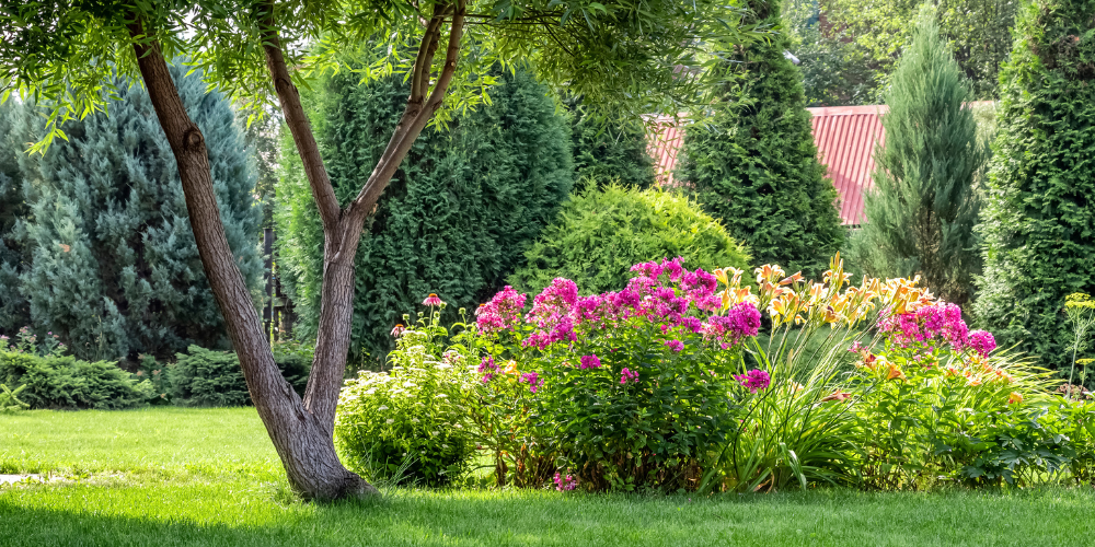 Millcreek Gardens-Salt Lake City-Utah-Design Principles for Your Yard-pathway in garden