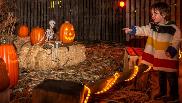 Boy enjoys pumpkin patch 1