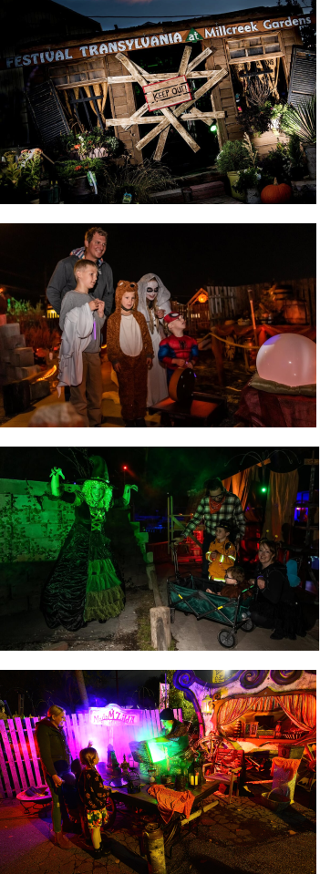Gallery (2)