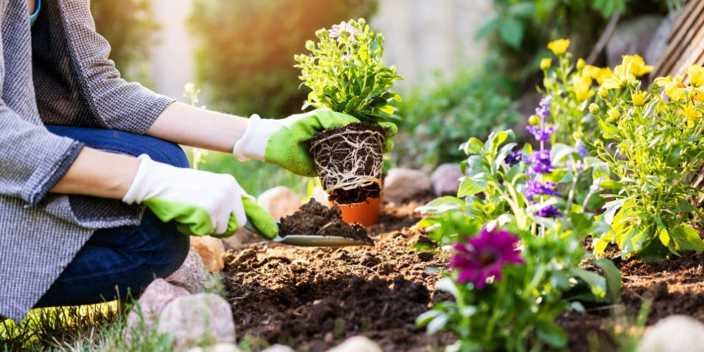 Millcreek Gardens-Salt Lake City-Utah-Spring Planting Guide