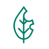 Disease and Pest Control Icon